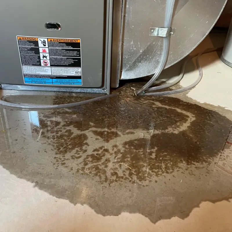 Appliance Leak Cleanup in Ester, AK